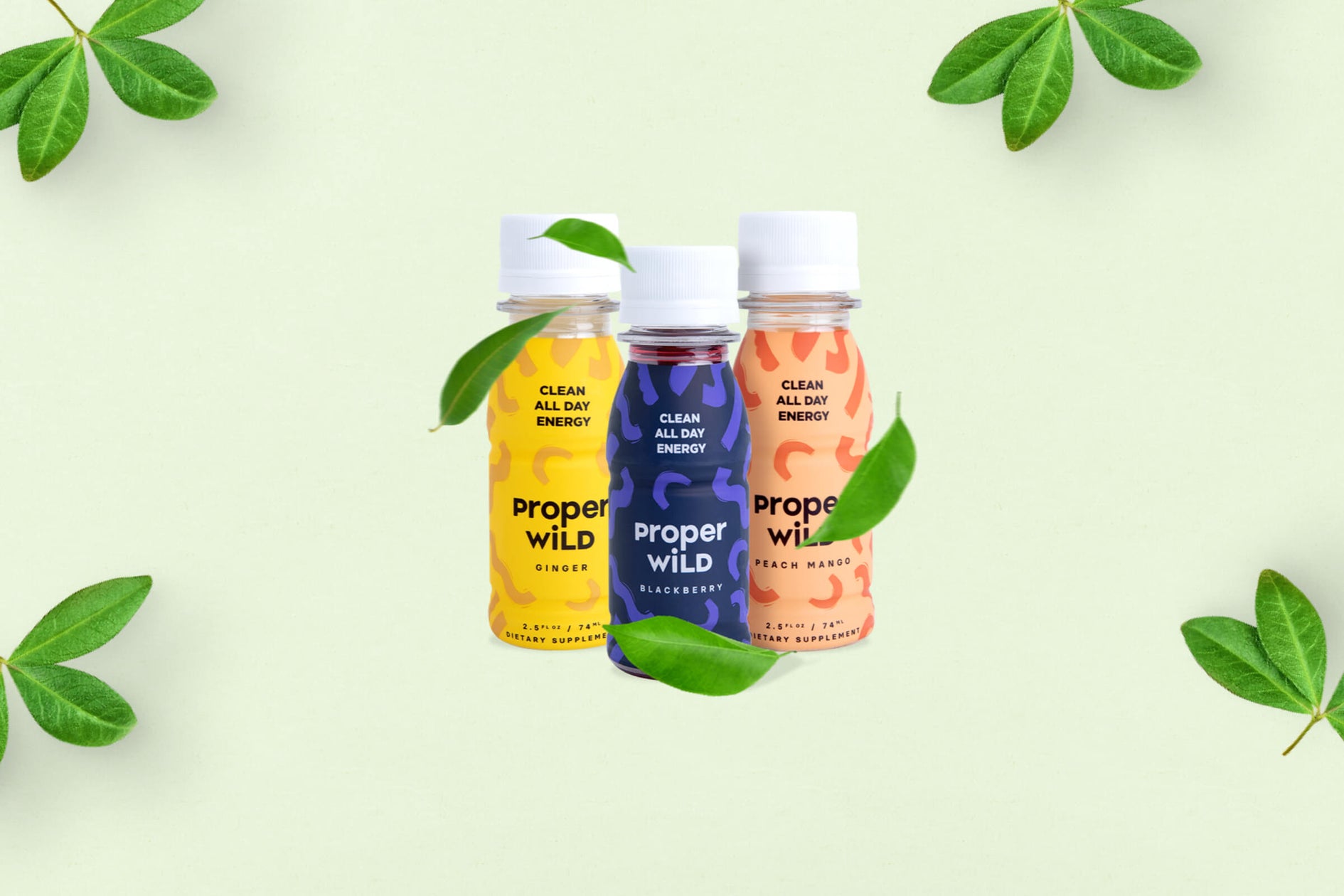 Best L-theanine supplements in 2026