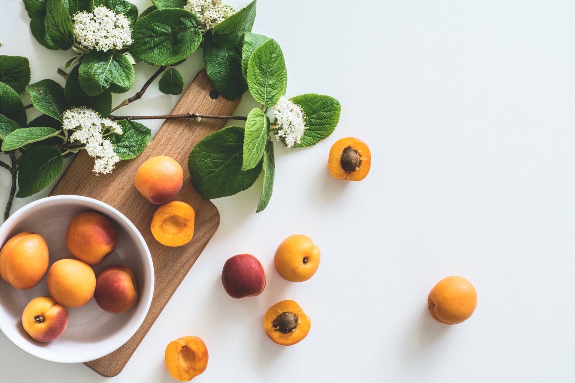What is GMO-Free, and How It Affects Proper Wild